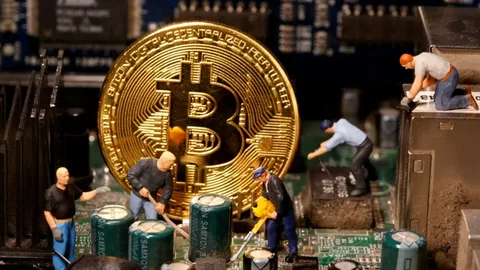 Bitcoin Miners